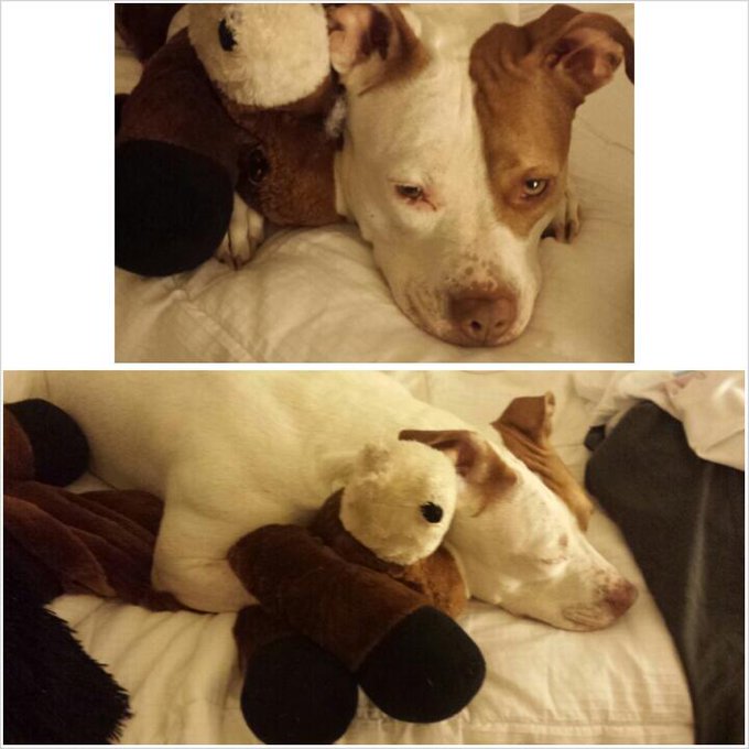 Mahm,  dis is meh ponie. Yew cannot haz. http://t.co/pGjsAUXljc