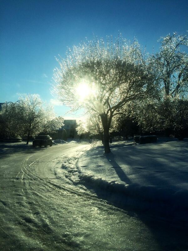 lizabee27's tweet image. the road is only a little bit slippery today #solidice #ifell #twice