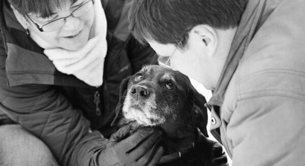 antena3com's tweet photo. "Un millón de animales abandonados... un millón de razones para adoptar" http://t.co/O4QOCCrAro http://t.co/OqERB2xSum