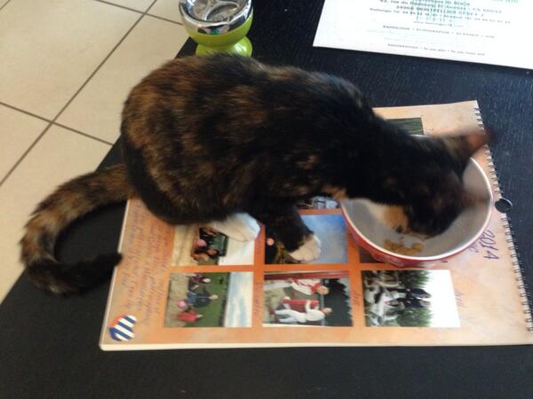 Jeremy Prevost Jeremyprevost33 Twitter