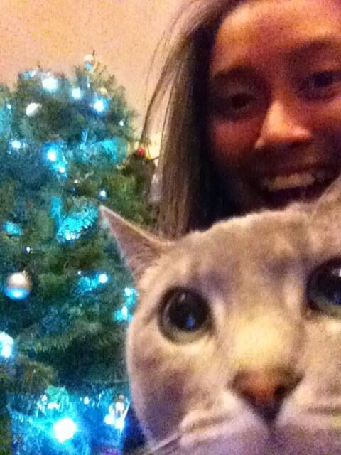 applecumulus's tweet photo. @TreeSiyaaaaa @katmanalese @adrinastephanie @threeeeSAM Merry Christmas from Chloe too! (And Mooch) http://t.co/vDtjAGJpxl