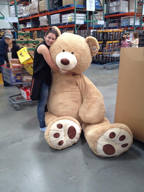 bear from costco