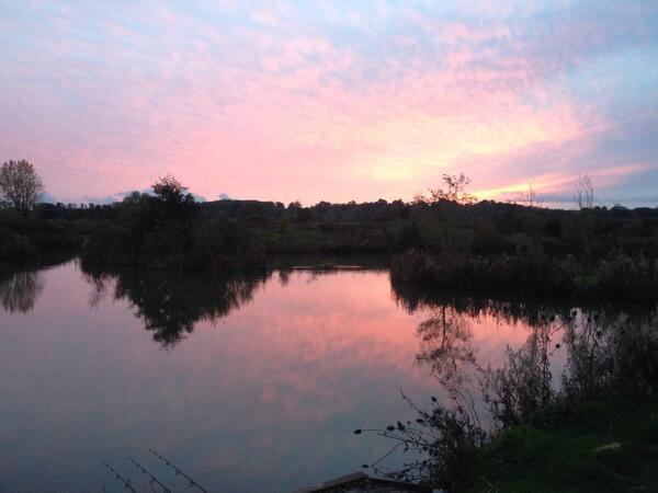 Team Catch & Release tweet media