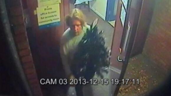 Embedded image permalink