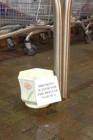 Secret Santa present put to good use!!