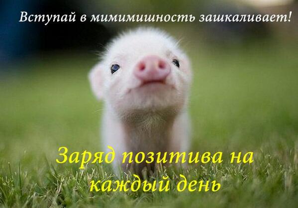 MusicLinx tweet picture