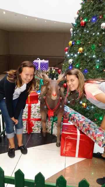 ellietheron's tweet photo. .....Love the Christmas fever......:)) http://t.co/jegX8ypkPE