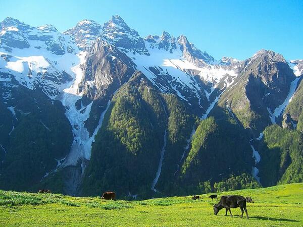 TravelAddA's tweet image. Meadows at Dayara, #Uttarakhand, India