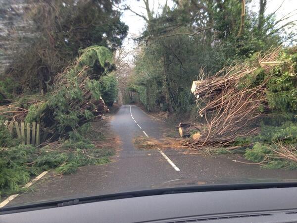oxted tweet picture
