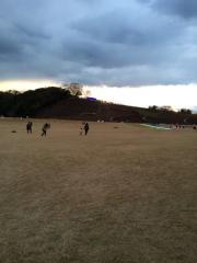 AgroHandmade tweet picture