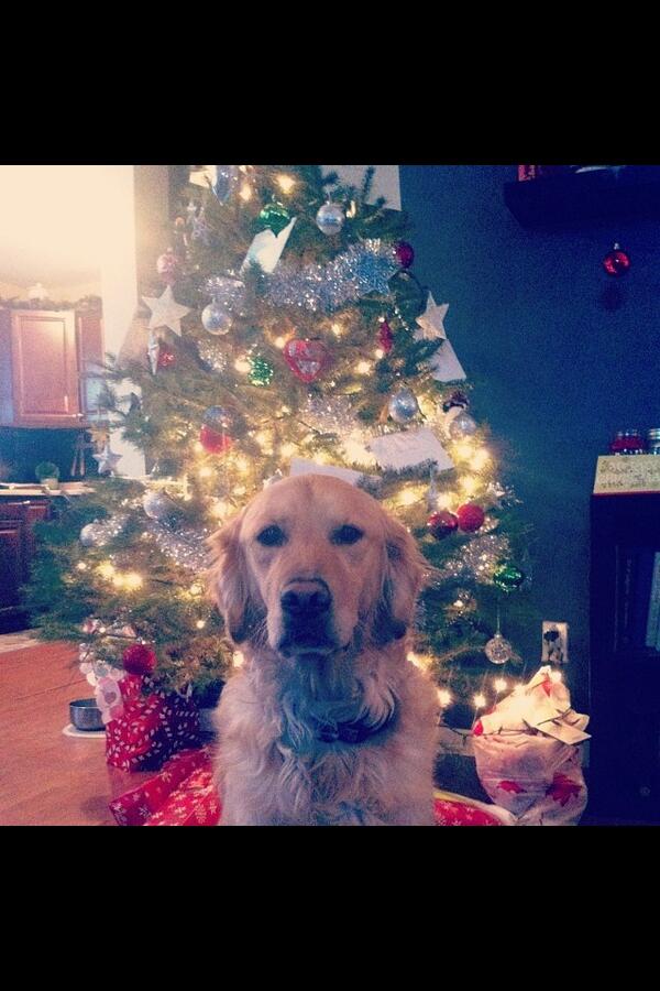 PartydogDTR's tweet photo. http://t.co/Ird7TwCHZy