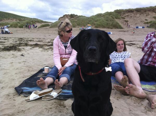 alexgdowding's tweet photo. LOST DOG PLEASE RT; Our beloved black lab Lily was last seen in Crane Park/Kneller Gardens Twickenham/Richmond today http://t.co/rjHbat6YGe