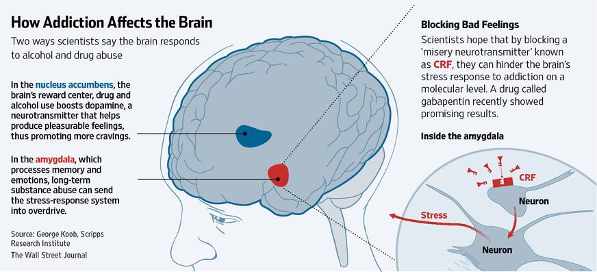 WSJ Graphics on Twitter: "How addiction affects the brain #infographic