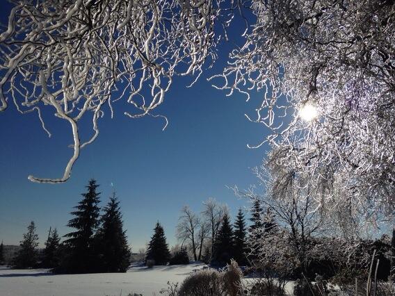 A crisp day after a few stormy days.