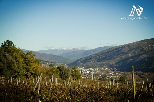 Así vemos el invierno desde nuestros viñedos. Os deseamos un horizonte así de claro en el nuevo año. Felices fiestas!