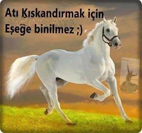 pendiktakip's tweet photo. http://t.co/1dqM9xbiSs
