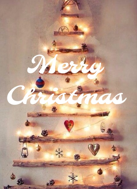 Foodzai's tweet image. Merry Christmas to all you beautiful people. Have an amazing holiday! #itsxmastime