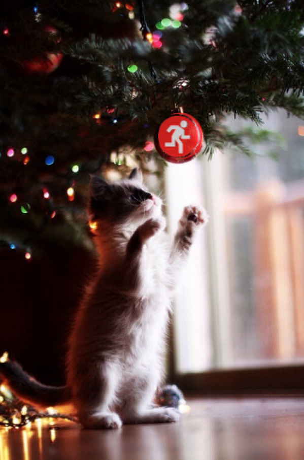thepeaktime's tweet photo. May the Christmas season fill your home with joy, your heart with love and your life with laughter!!!Merry Christmas! http://t.co/1wjfmm4N3U