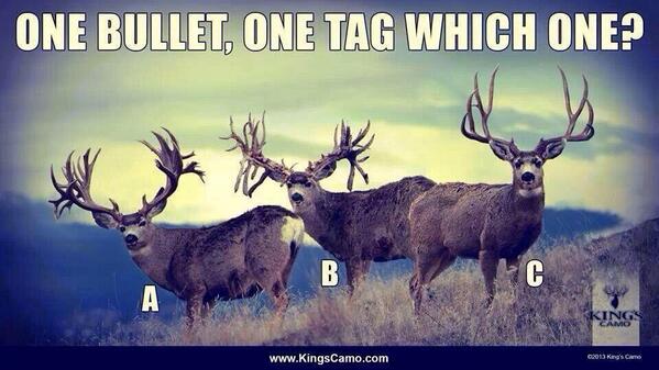 HuntersHunting's tweet photo. Take your pick. I would pick B how about you? http://t.co/36CScao86b