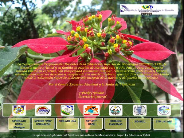 fepdes.blogspot.com/2013/12/tarjet…