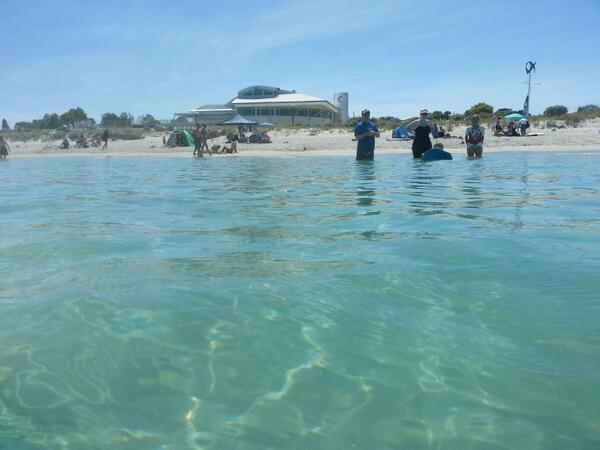 PerthSharks's tweet photo. #Christmas breakfast buffet! Come down! Water is great! http://t.co/x3vgfzy1Qu