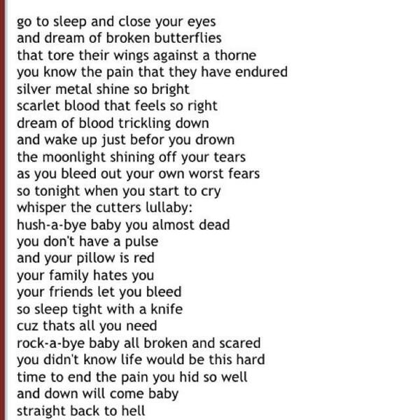 cielseb's tweet image. 