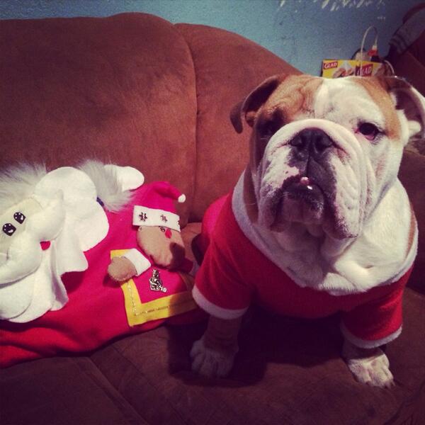 ready for #christmas #copito #navidad #family #friends #movies #dinner #ChristmasEve