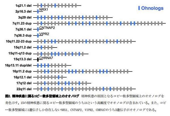 埋め込み画像への固定リンク