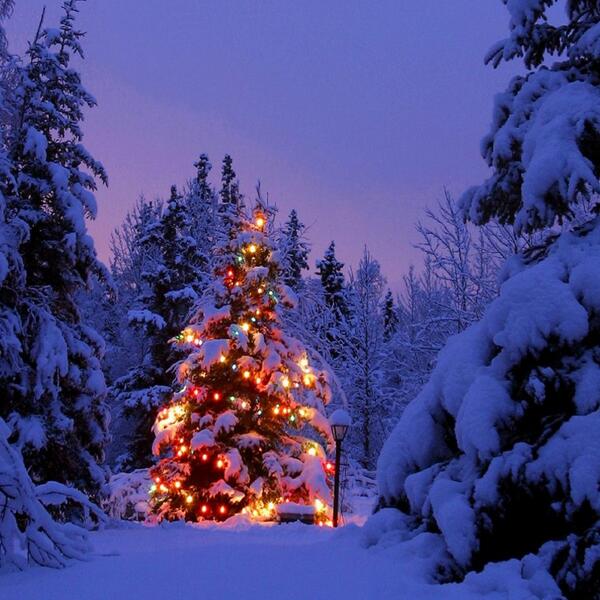 KristaLeeSlade's tweet photo. Merry Christmas!! http://t.co/cTGxz5kowm