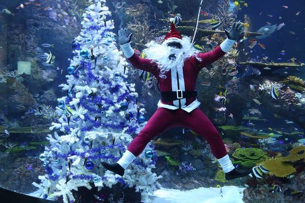 RT <a href="/rwsentosaID/">ResortsWorldSentosa</a>: Scuba Santa hanya di S.E.A. Aquarium hingga 29 Dec!