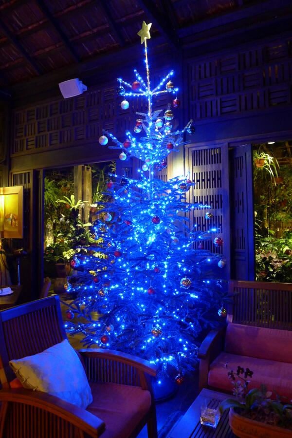 Merry Christmas to all of you!!!
Wish you all happy, healthy and most importantly pretty all the time~~~