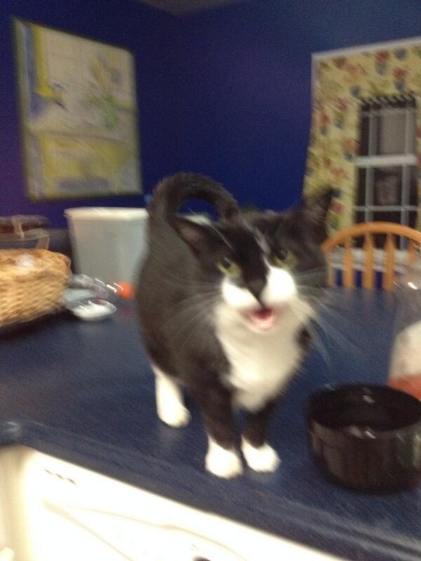 Elizabeth Heskett tweet media