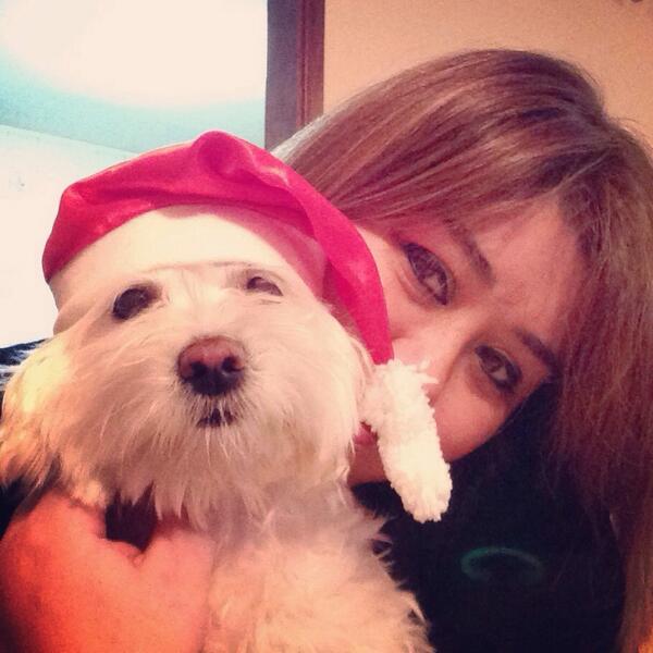 PenguinCarol's tweet photo. @joeresendez Feliz Navidad mi nene lindo!!! Besos, abrazos, paz y amor desde #FinDelMundo! Con #TTDog http://t.co/1KbFOxV283