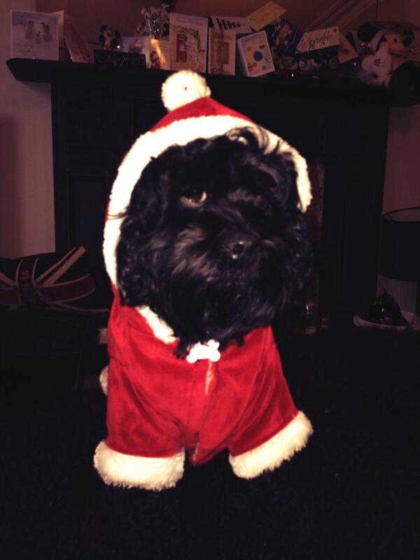 GwynethHedges's tweet image. Merry Christmassss 🎅🎅🎅