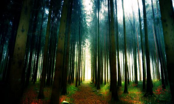 ilgincstagram's tweet photo. Light at the end of the path http://t.co/6GIpzYRMpm