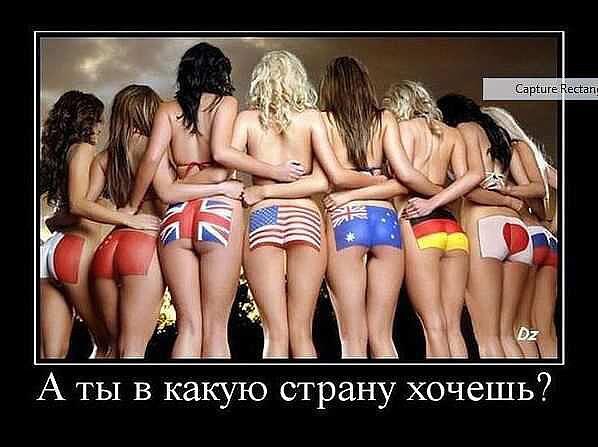 хочу в италию, францию, сша, нидерланды....