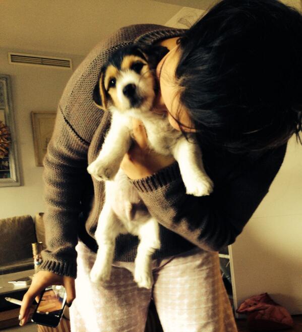 alechonda's tweet photo. “@sofmaldo3: 🐶🐶🎁 http://t.co/VMhmJ7uZnp”que cositaa💕💕