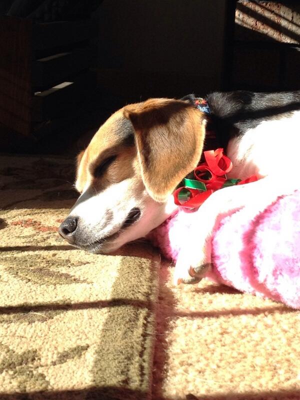 Merry Christmas everyone