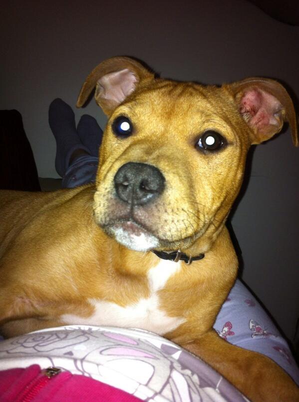 My baby boy
