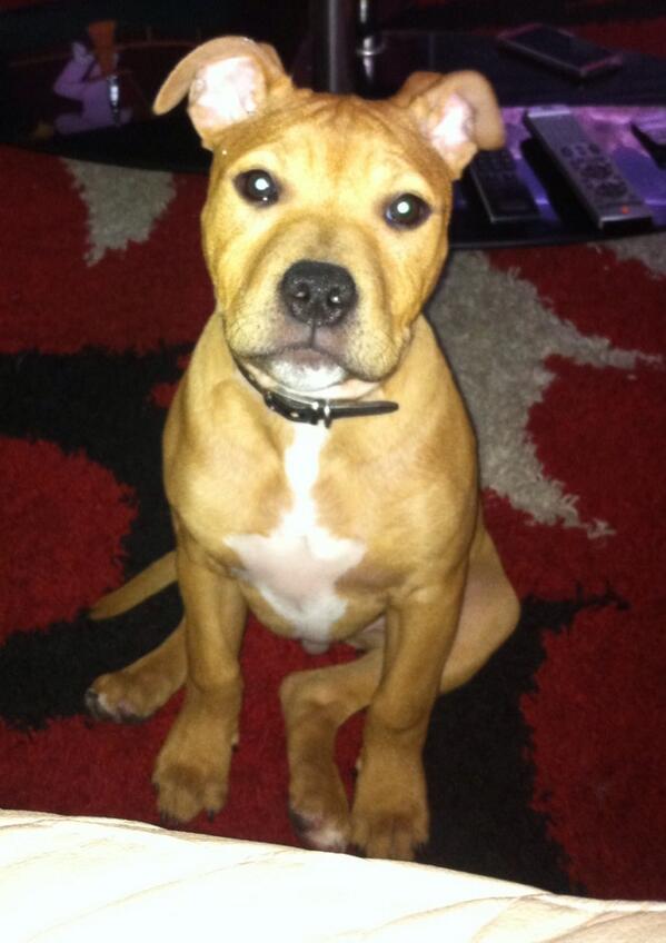 My boy buster