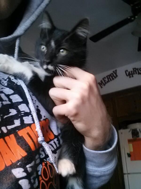 State_Runner_15's tweet photo. I love cats :) What can I say? http://t.co/h3ETZP0EAS