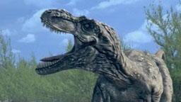 christian_renno's tweet image. 