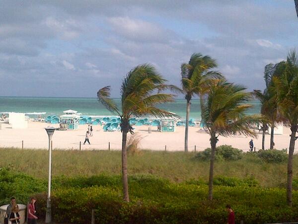 suzanneisa's tweet photo. Merry Christmas, love Miami. http://t.co/z1nZ9R6Yvp