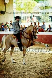 teobermejo48's tweet photo. En jerez de la frontera http://t.co/vO4qlFCH08