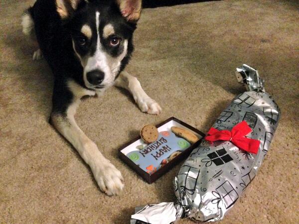 BullittMP's tweet image. I love that my birthday is around Christmas! The biggest bones are for sale ! @MariamZaka @PeterSRiad