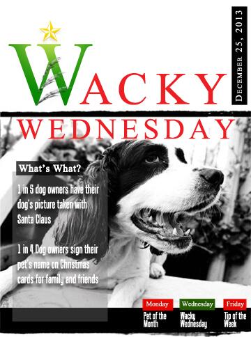 Check out these Christmas pup stats!