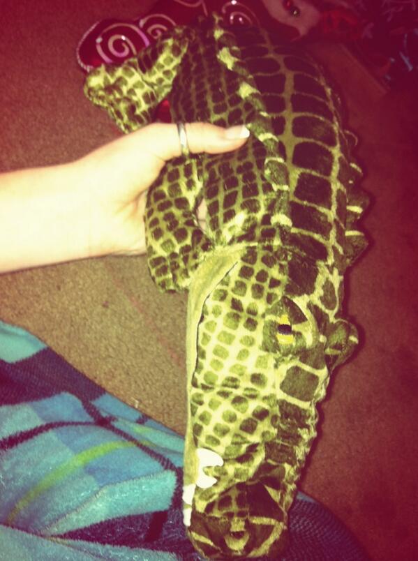 allieeewallieee's tweet photo. My mom seriously got an alligator for Christmas #AllitheAlligator π http://t.co/0BONt5EXPn