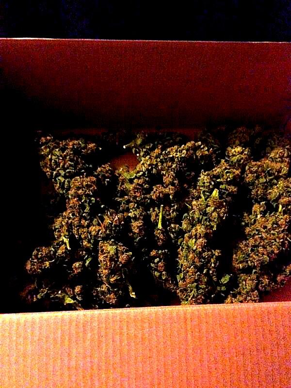 Matte420 tweet picture