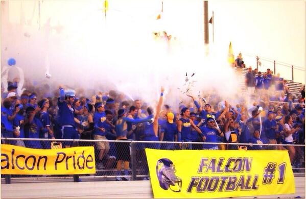 StudentSec101's tweet image. check out @OS_BirdHouse!