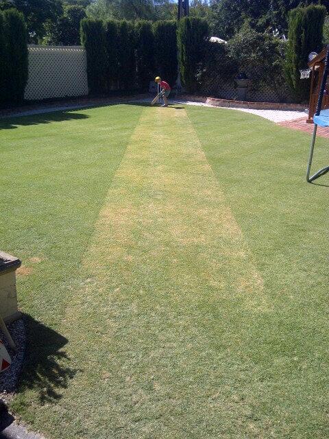 msthommo's tweet photo. Boxing day wicket is prepared... http://t.co/gF7mtPg5Iz